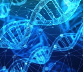 В ДНК младенцев нашли эпигенетические следы репродуктивных технологий