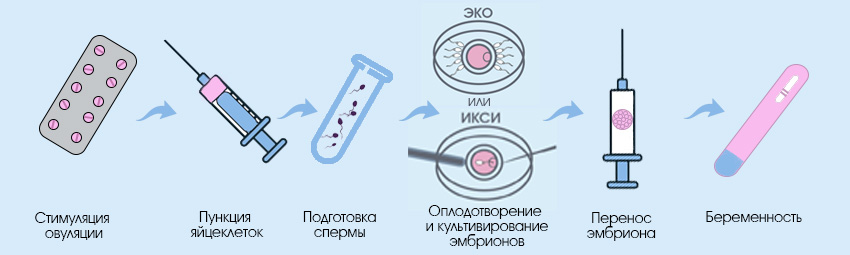 Всё об эко