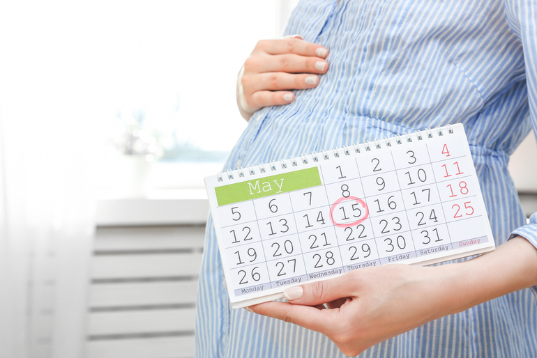 Календарь беременности при ЭКО. Как рассчитать срок? | Статьи «ФертиМед»