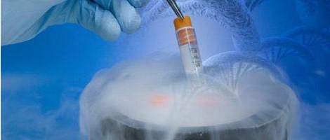Замораживание сперматозоидов, ооцитов и эмбрионов. Хранение в криобанке