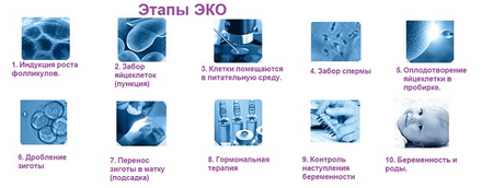 ivf-stepbystep-min.png ivf-stepbystep-min.png