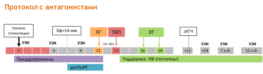 Корот.протокол 4.png