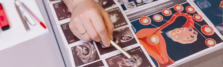 Забор яйцеклетки для ЭКО