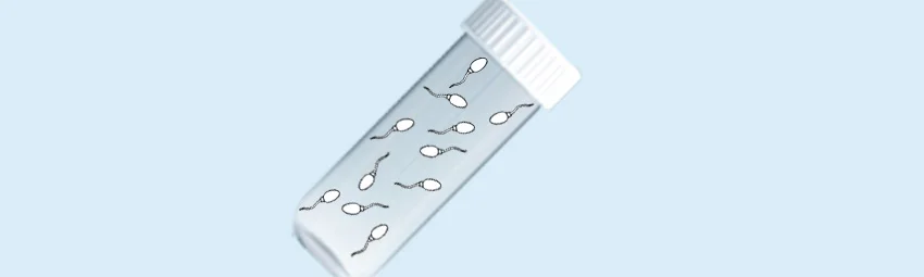 ЭКО с донорской спермой