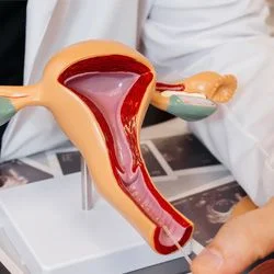 Приводит ли стимуляция к истощению яичников?