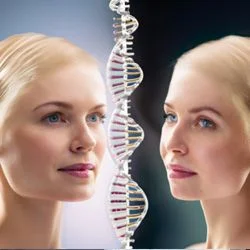 О наследственной предрасположенности О наследственной предрасположенности