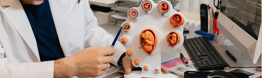 Ведение беременности после ЭКО