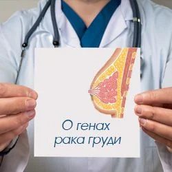 О генах рака груди О генах рака груди