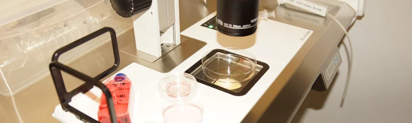 ЭКО с двойной стимуляцией