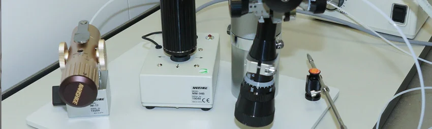 ЭКО базовое