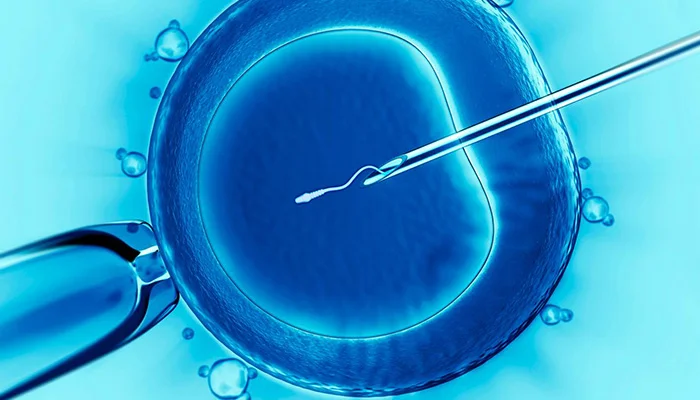 Искусственное оплодотворение